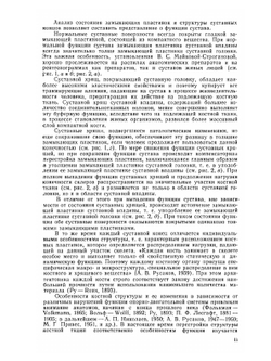Дегенеративно-дистрофические поражения костносуставного аппарата | Н.С. Косинская