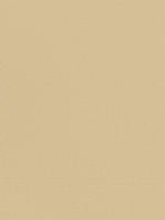 БАХИЛЫ СПЕЦИАЛЬНЫЕ ЗАЩИТНЫЕ BASK OVERBOOTS ARMOR PRO