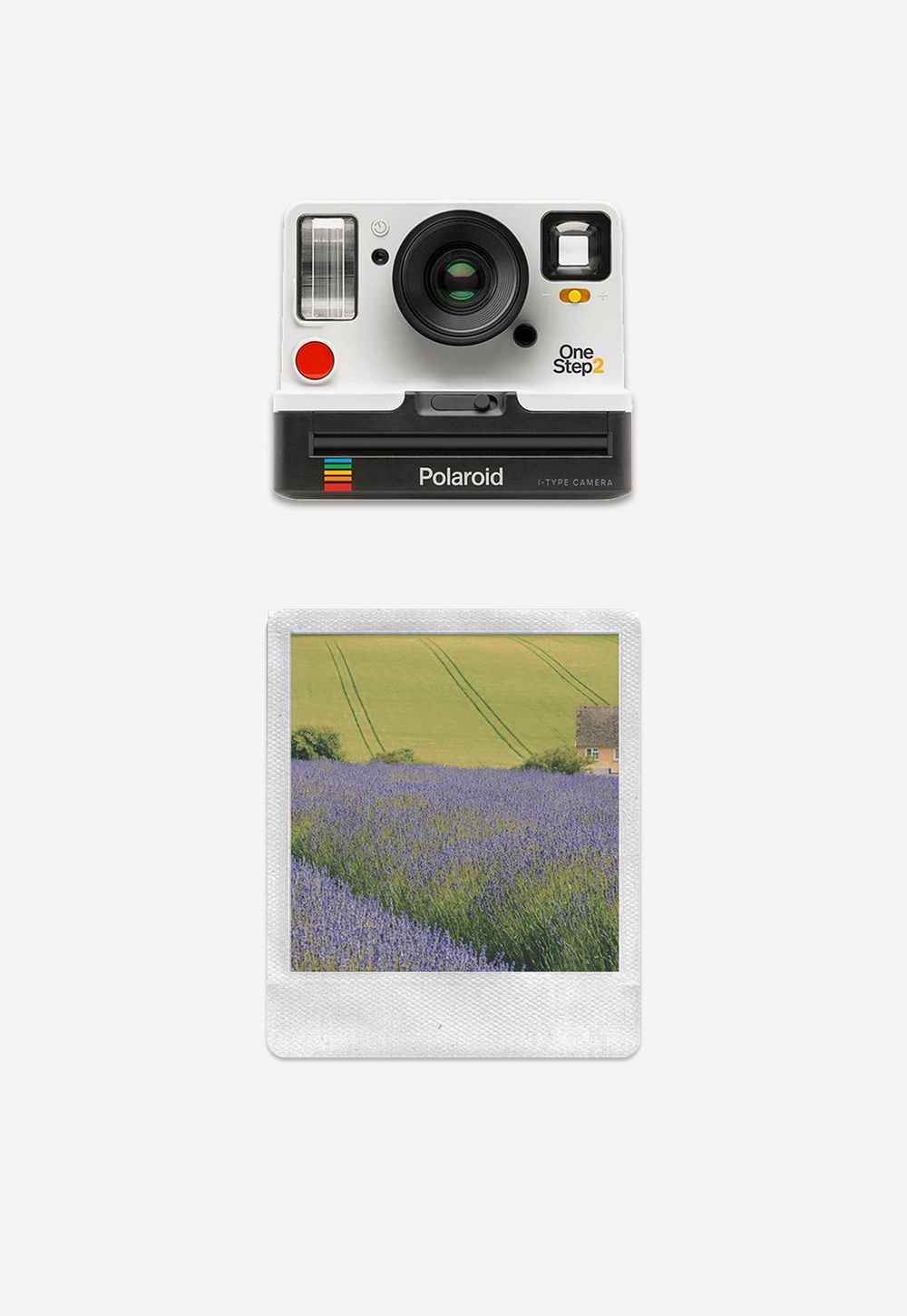 Колье из серебра "Лавандовые поля"