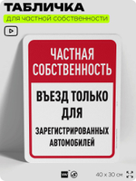 Табличка для частной территории "Частная собственность, въезд только для зарегистрированных автомобилей", на дом, для участка, 40х30 см, Silver Plane x Айдентика Технолоджи