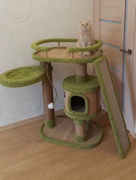 Домик для кошки КУН-16 (мейн-кун)