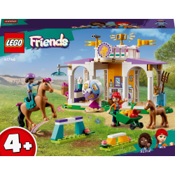 LEGO Friends — Дрессировка лошадей 41746