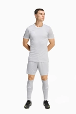 Шорты adidas Entrada 26 - серый