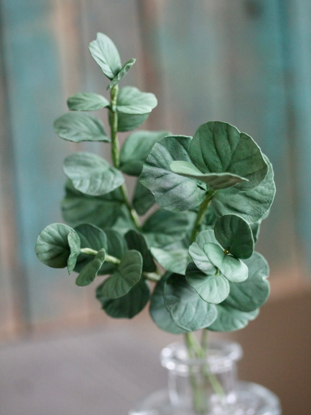 Набор вайнеров для лепки листьев эвкалипта Coprussia