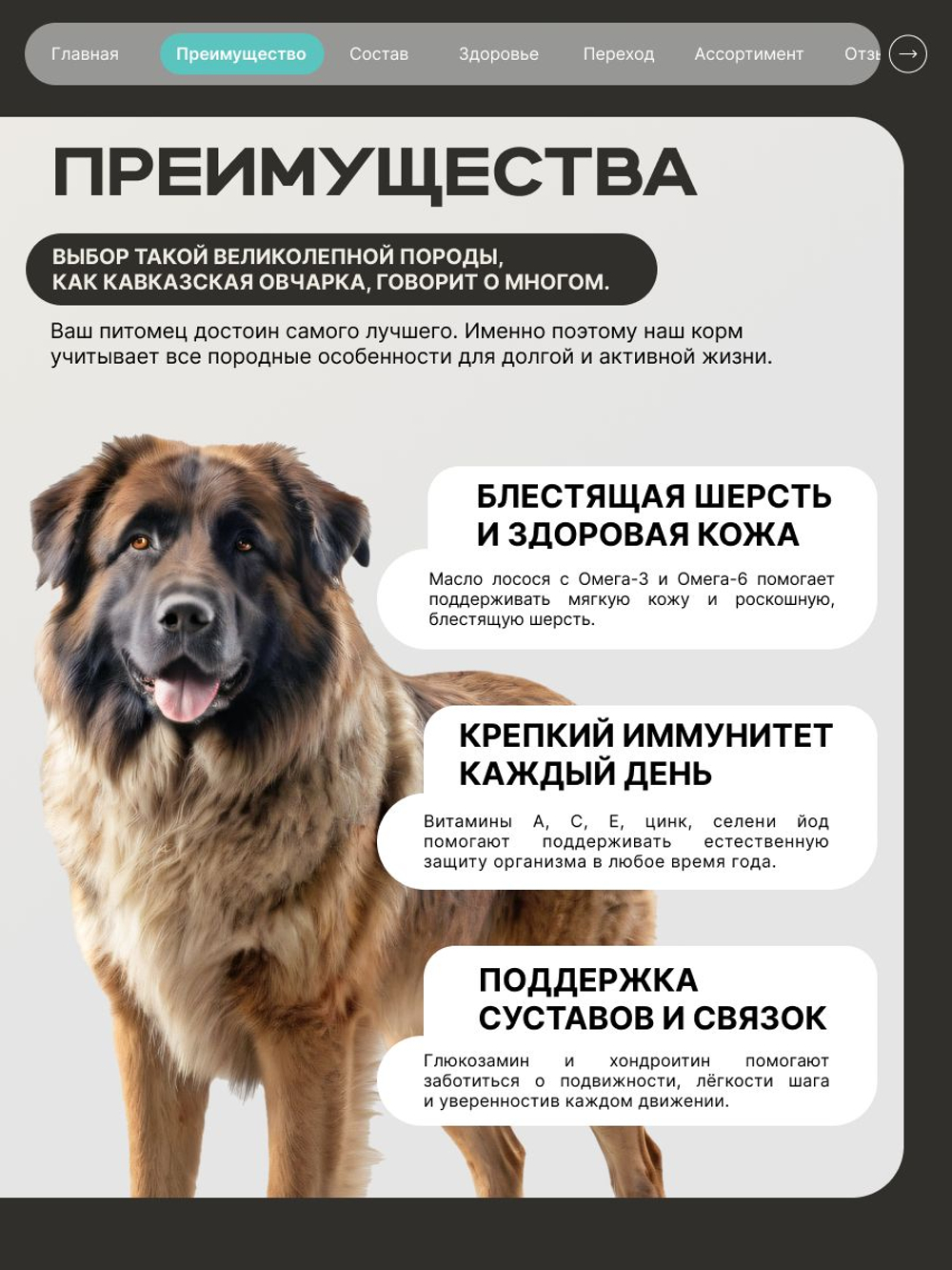 Корм для взрослых собак породы Кавказская овчарка, с кроликом, 3 кг, QUATTRO