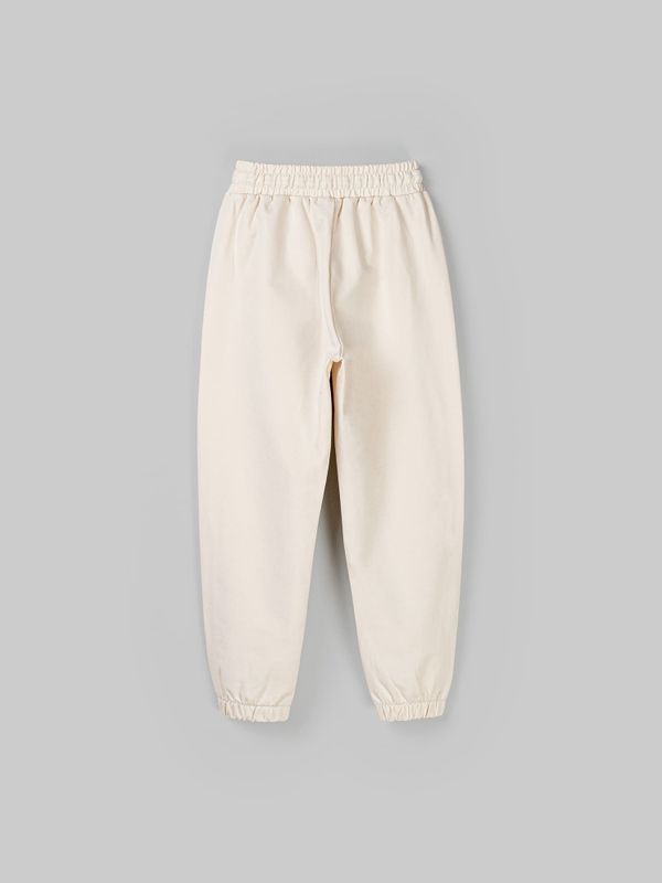 Джоггеры облегченные 