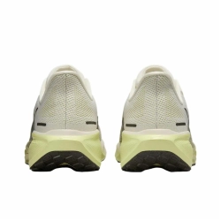 Мужские кроссовки Nike Air Zoom Pegasus 41 'Pale Ivory Limelight Olive Aura' FD2722-109