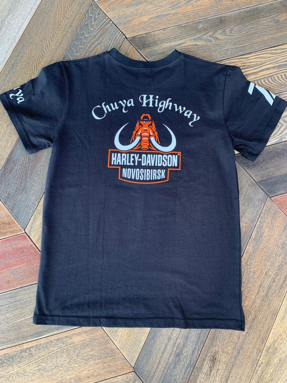 Фирменная футболка мужская Harley-Davidson