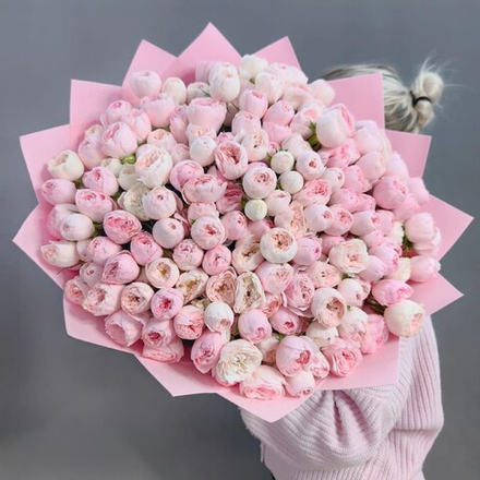 Букет из 61 кустовой пионовидной розы сорта "Mansfield park"