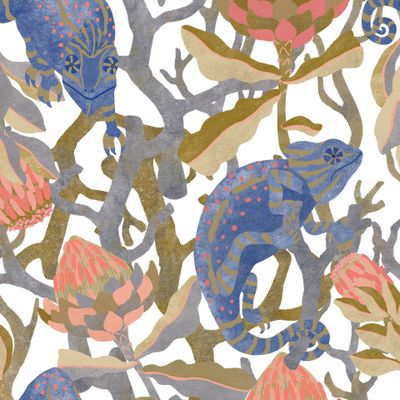 Хамелеон и протея