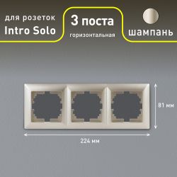 Рамка для розеток и выключателей Intro Solo 4-503-04 на 3 поста, СУ, шампань