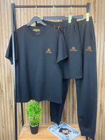 Прогулочный костюм (тройка) Loro Piana