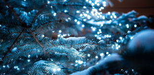 В чем встретить Новый год: стильные праздничные образы для разных форматов вечера