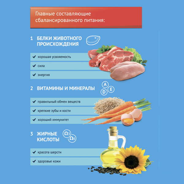 Сухой корм ProХвост для собак с говядиной