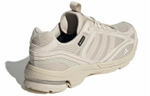 Кроссовки Adidas Spiritain 2000 Gtx