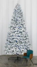 заснеженная ель "Камчатская" высокая