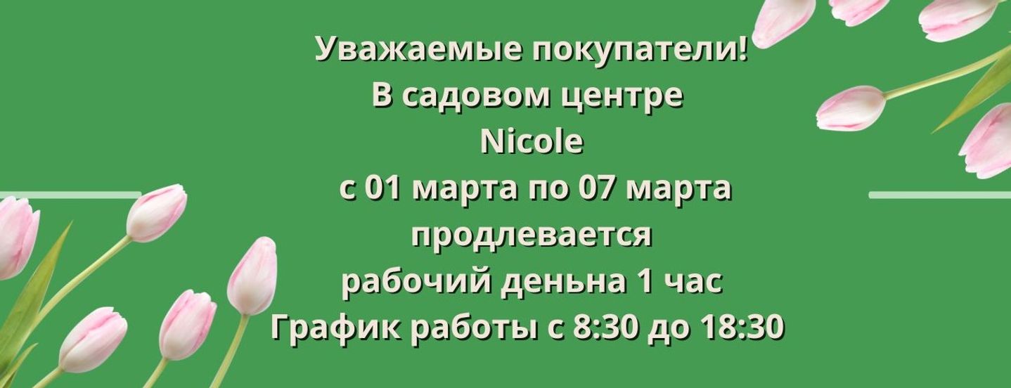График работы с 1 марта по 7 марта