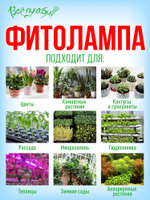 Фитолампа полный спектр