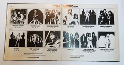 Винтажная виниловая пластинка LP Suzi Quatro The Suzi Quatro Story Golden Hits Poster (Japan 1975) (No Obi)