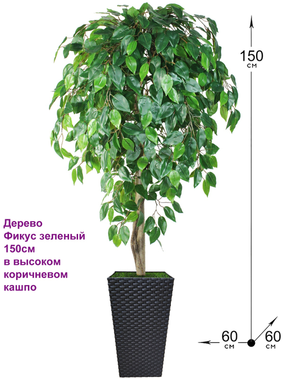 Искусственное дерево Фикус зеленый 150см в высоком коричневом кашпо ротанг