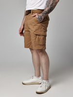 Шорты карго плотные Abercrombie & Fitch AB170