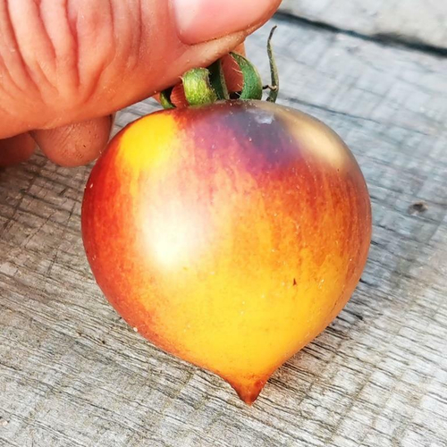 Помидоры Обворожительное Сердечко Belle Coeur (H34 Gelb) Tomato