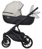 Детская коляска Riko Basic Montana Ecco 3 в 1 31 Light Silver-Black
