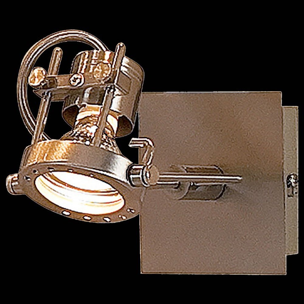 Спот Citilux CL515511