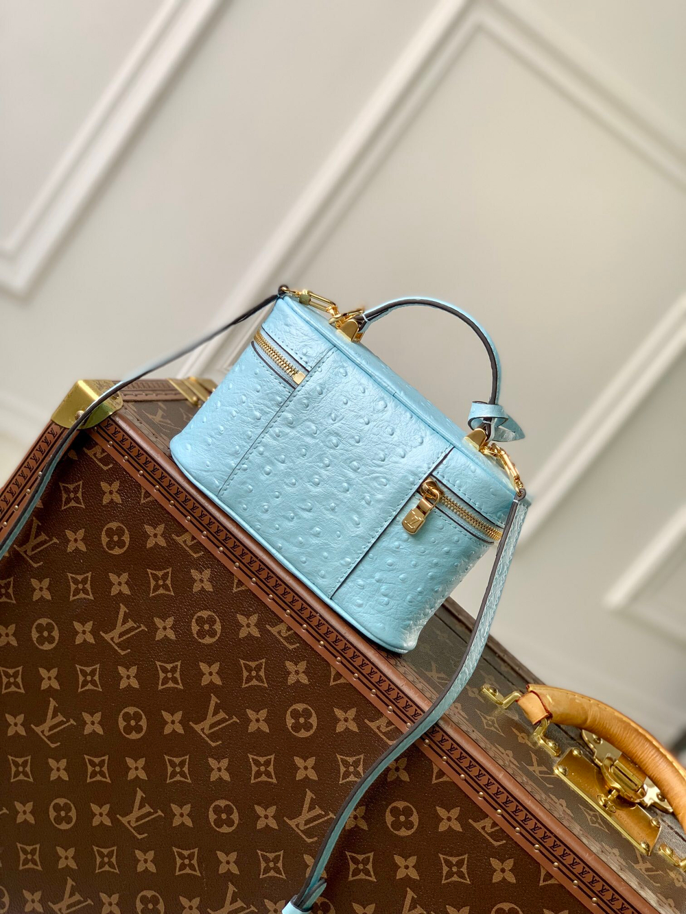 Louis Vuitton Vanity Chain Pouch