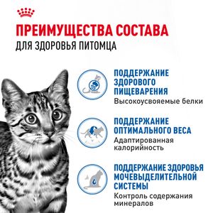 Пауч Royal Canin Indoor Sterilised для взрослых кастрированных и стерилизованных кошек, живущих в помещении, кусочки в соусе