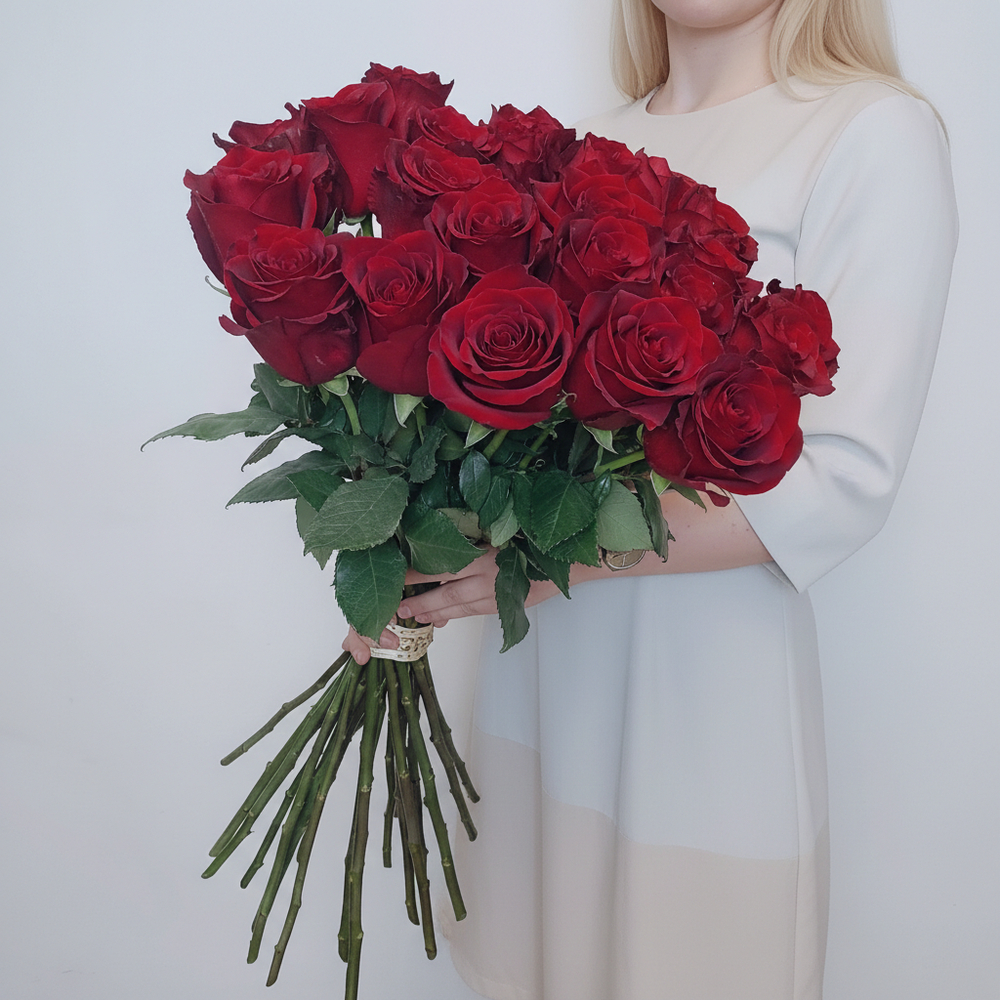 25 бордовых импортных роз Эксплорер