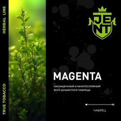 Табак для кальяна JENT Herbal c ароматом Чабрец (Magenta), 25 гр