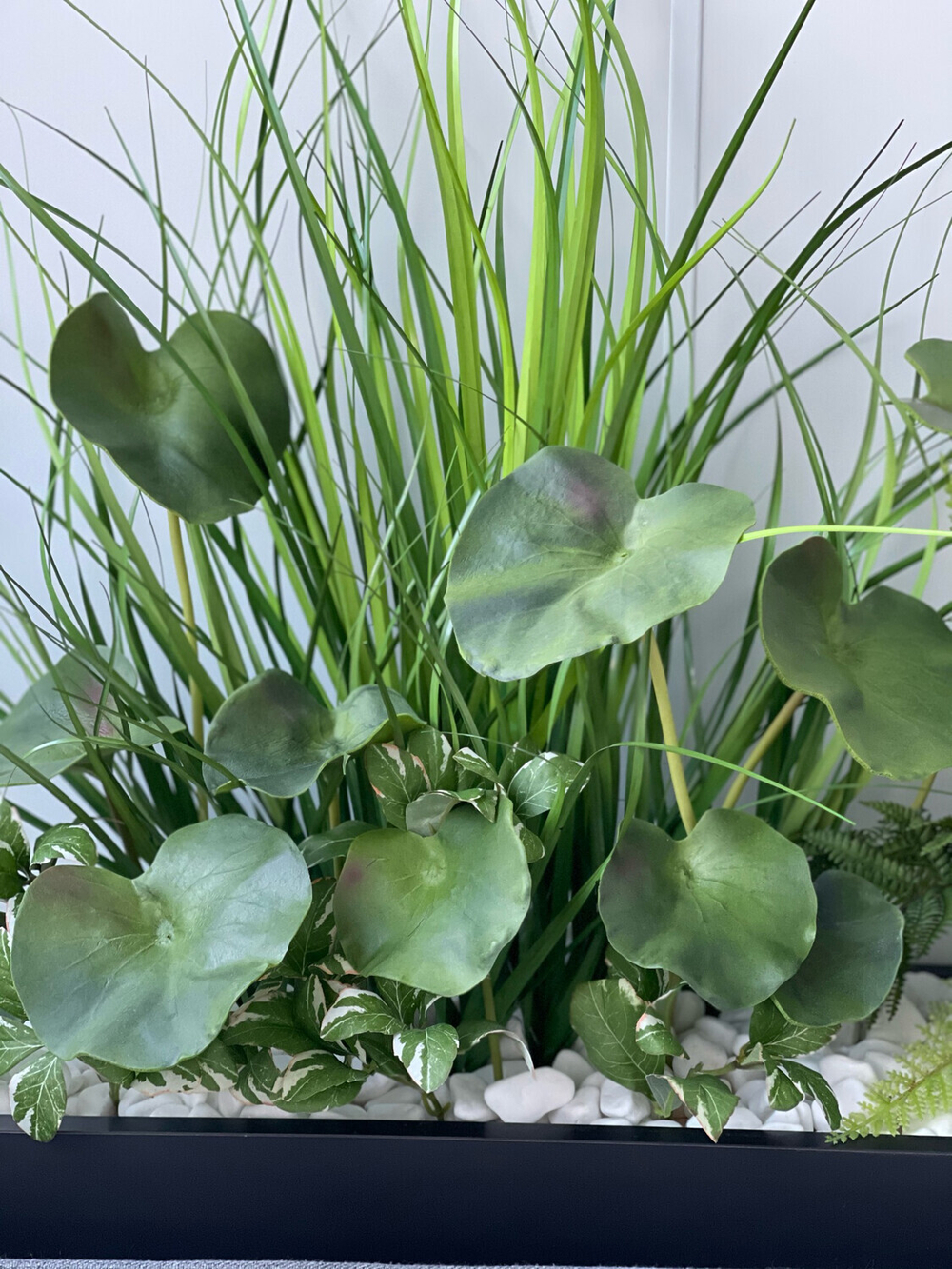 Лотос листья 5 шт