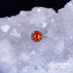 Накрутка IG Hyacinth