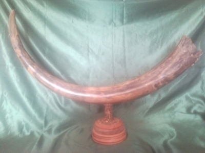 "Стремительный", бивень мамонта коллекционный