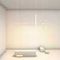 Подвесной светильник Imperium Loft squirrel01 220665-23
