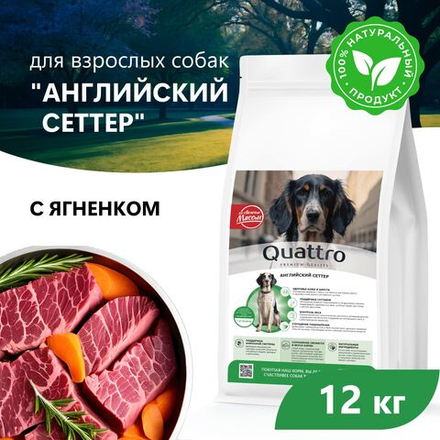 Корм сухой для взрослых собак породы Английский сеттер, с ягненком, 12 кг, QUATTRO