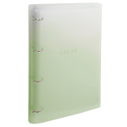 Тетрадь на кольцах БОЛЬШАЯ 305х235мм А4, 120л, пластик, с разделителями, BRAUBERG, Зеленый, 404625