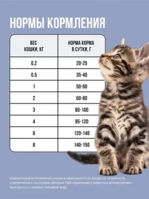 Корм сухой полнорационный BOWL WOW с курицей и черникой для котят