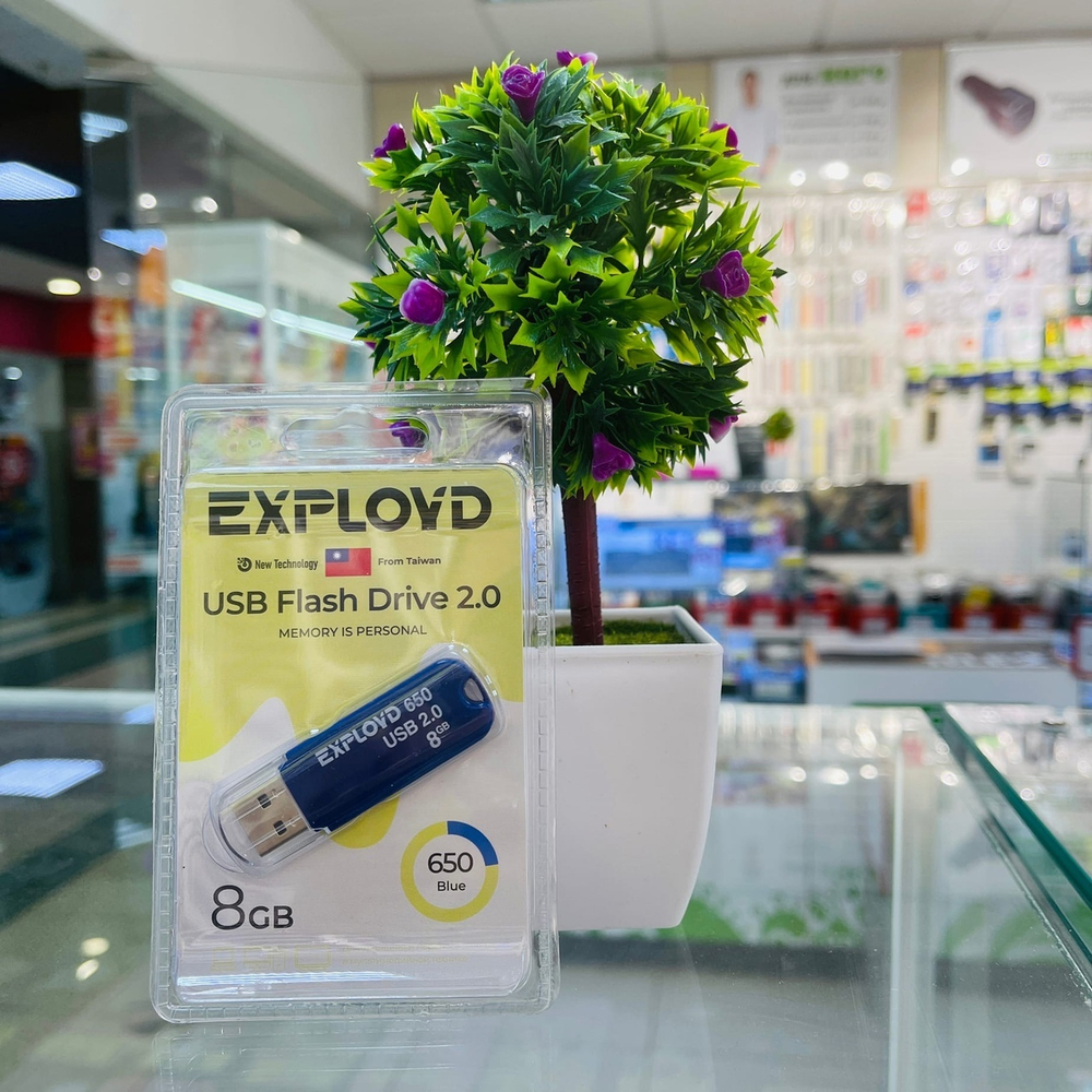 USB Флешка 8GB Exployd 650, USB 2.0, синяя