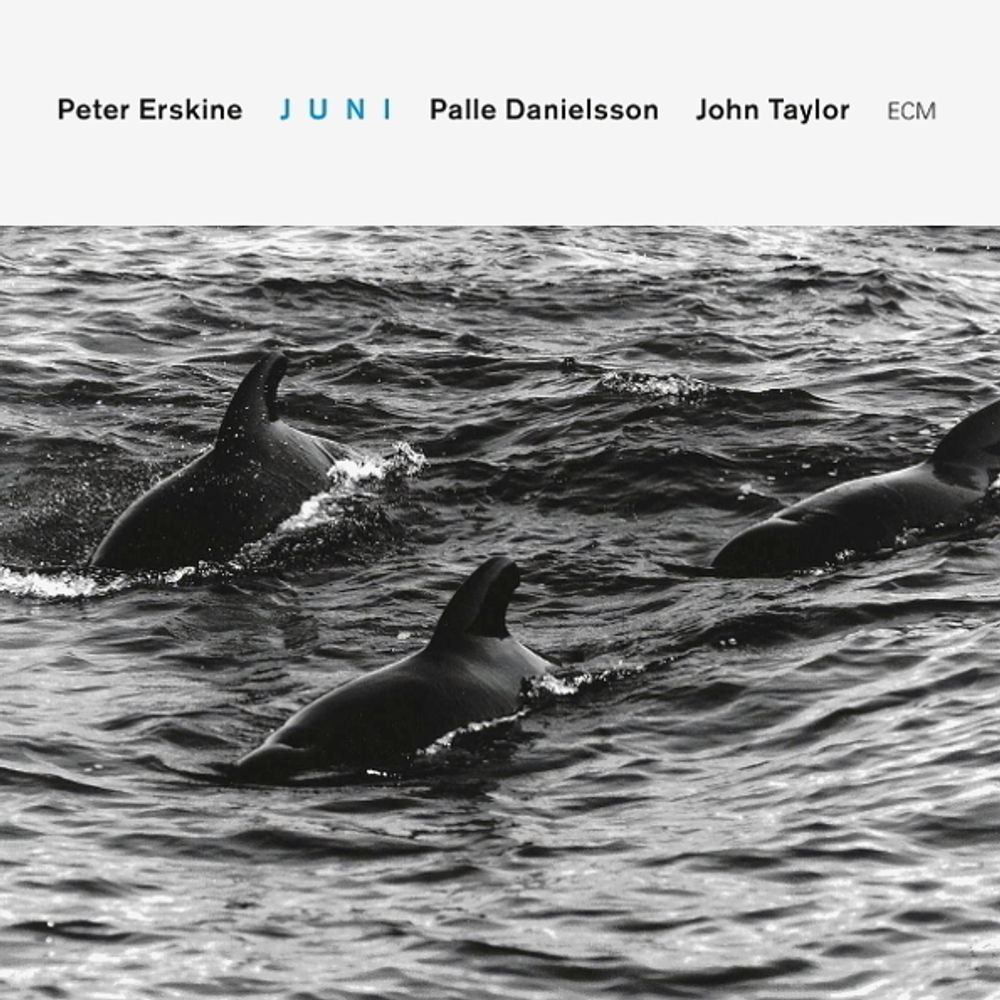 Peter Erskine / Juni (CD)