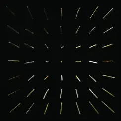 Clipping. – There Existed An Addiction To Blood 2LP