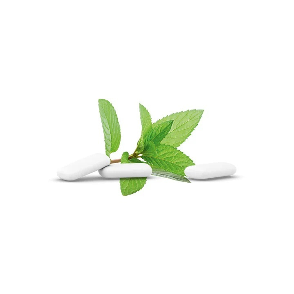 Steviagum Жевательная резинка FRESH с мятой, ксилитом и стевией БЕЗ САХАРА 30г