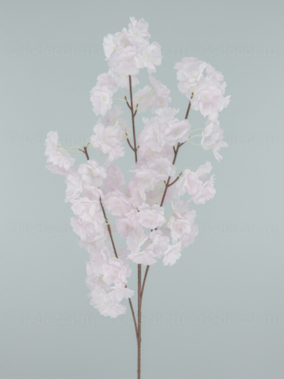 Сакура Пышная светло-сиреневая