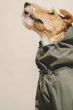 Комбинезон "Пони-комбинезони" хаки