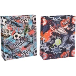 Пакет подарочный «GOAL» 26*32*10 см