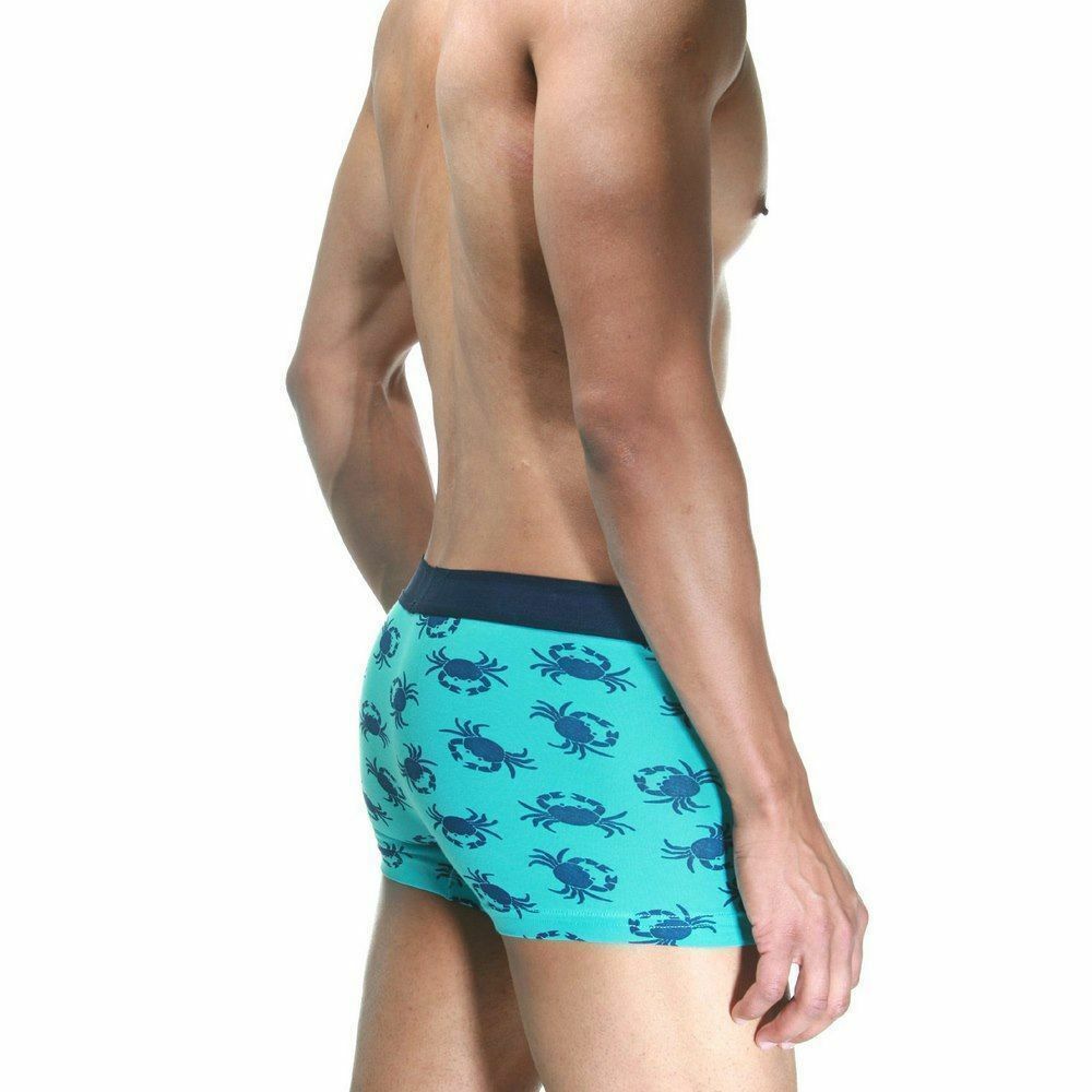 Трусы мужские боксеры голубые с принтом DARKZONE DZN2635