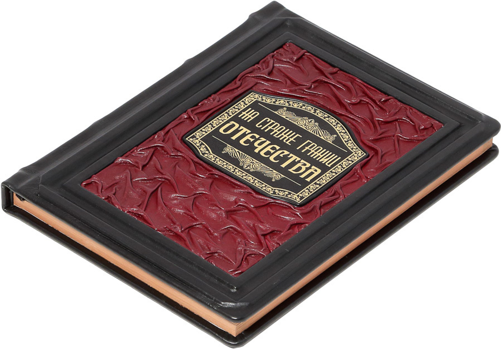 На страже границ Отечества. 100 лет пограничной службе ФСБ России