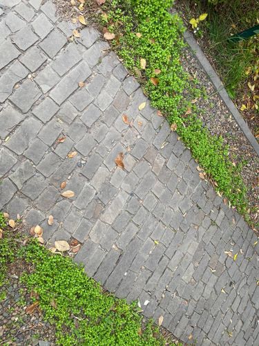 Брусчатка песчаник колотый