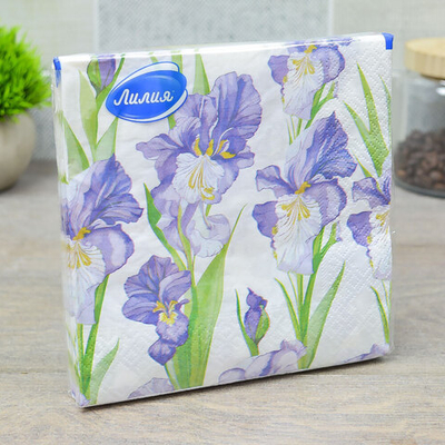 Салфетки 33*33см 20 листов 2-слойные "Магия ирисов"